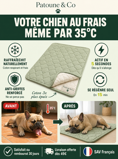 FreshPad