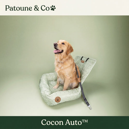 Cocon Auto™