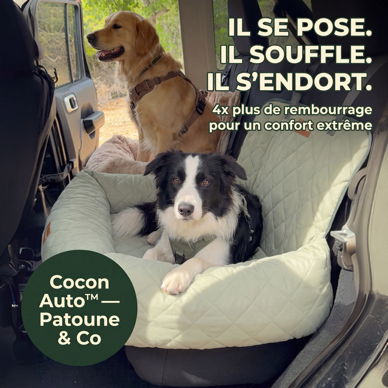 Cocon Auto™